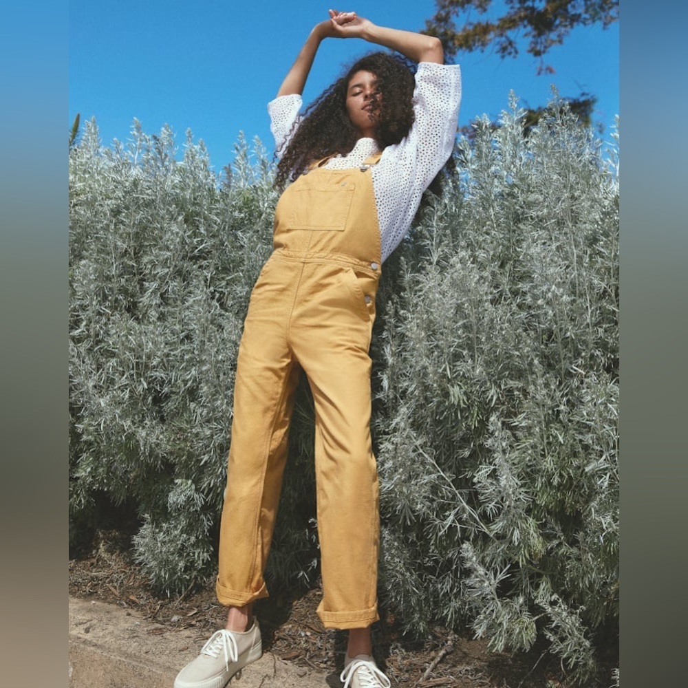 Everlane Canvas Overalls